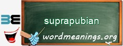 WordMeaning blackboard for suprapubian